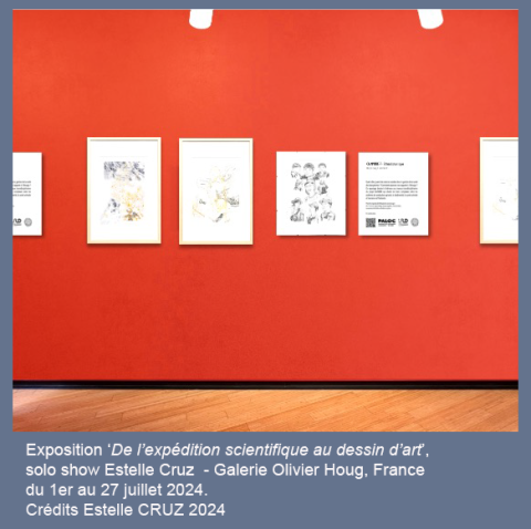 expo BufFarm