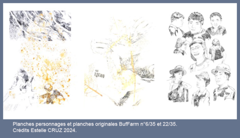 planche BufFram1
