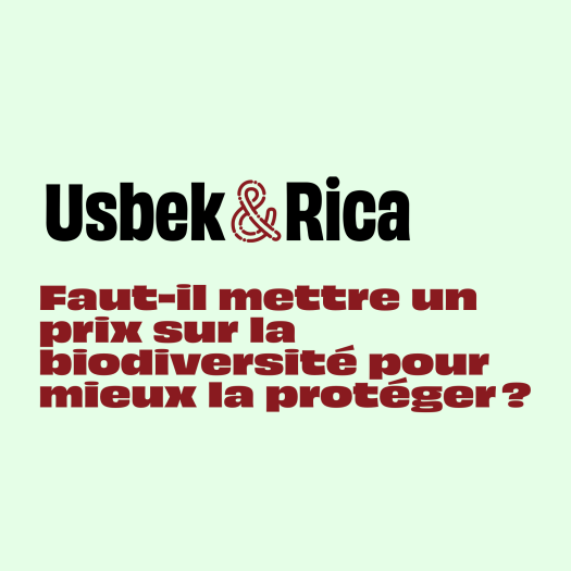 Usbek & Rica