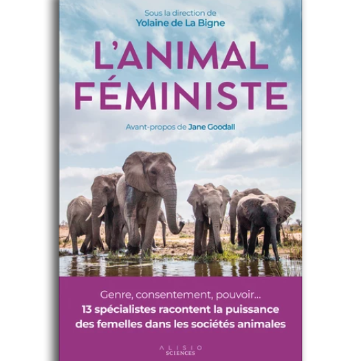 animal féministe