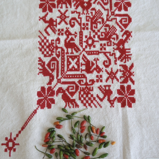 chile con arbol de la vida