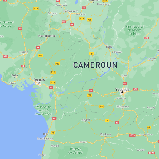 cameroun.png