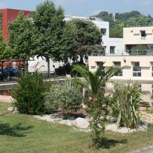 ird_montpellier.jpg