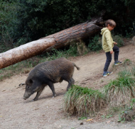 Contentious Species   ©Aníbal Garcia Arregui