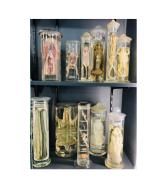 collections vivantes