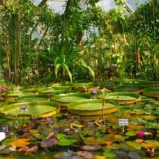 Jardin botanique de Lyon, Parc de la tête d’or. A l’intérieur des serres de collection. © Vegonaise/Unsplas 