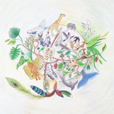 Colloque provenances de collections